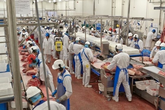 Coronavirus-meat-factory-contingency-plans-in-place_wrbm_large