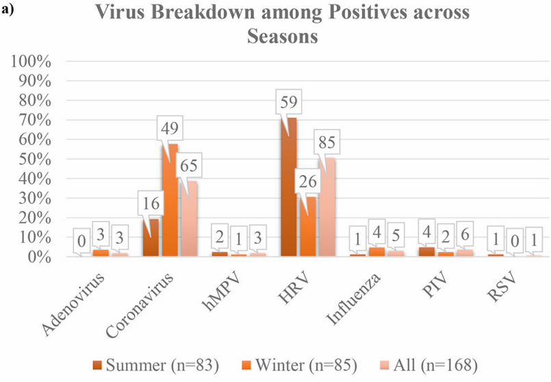 Summer-winter Shaman.png