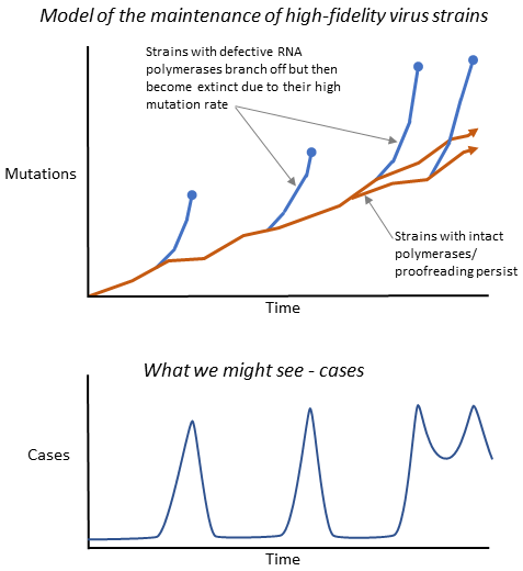 Hifi lofi strains what we might see