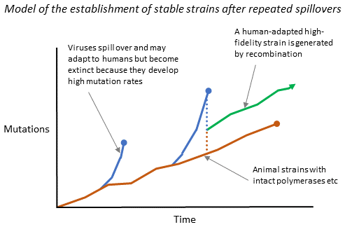 Spillovers and recombination